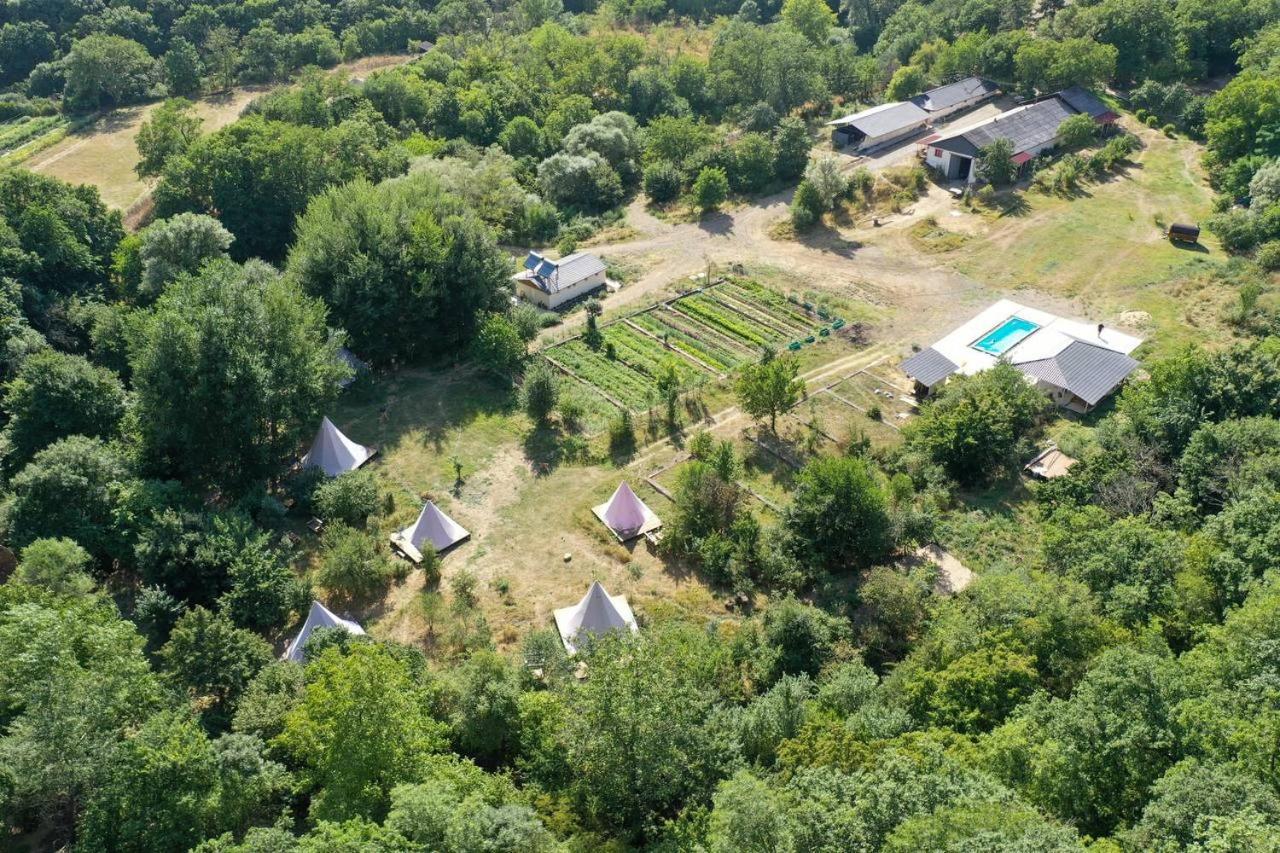 Gipsy Village Park Hotel Asureti 외부 사진